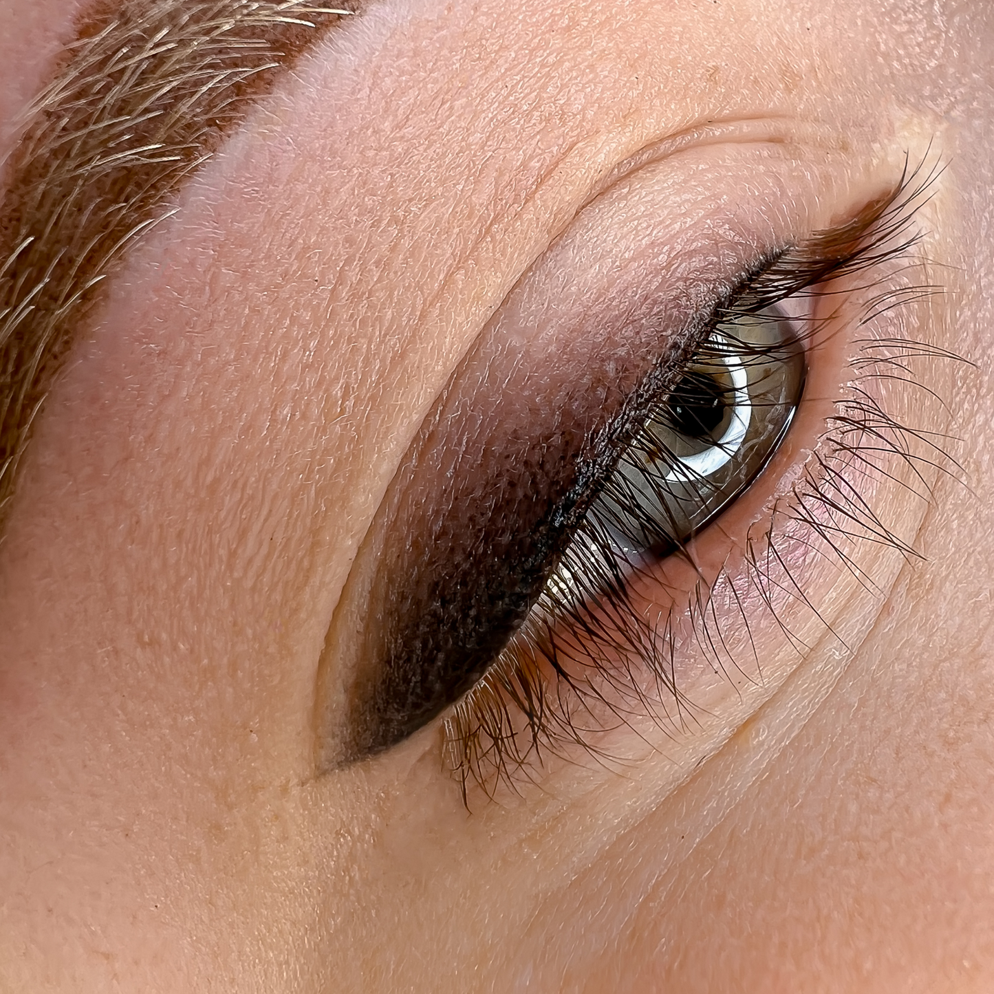 Formation : Maquillage permanent des yeux - Eye-liner effet poudré